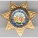 WOODLAND, CA POLICE DEPARTMENT SGT MINI BADGE PIN
